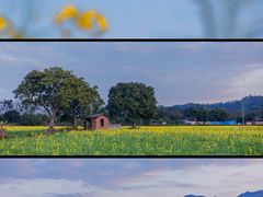 -天龙顶山地公园