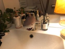 -E.L.K造型momopark店