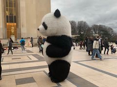 -埃菲尔铁塔