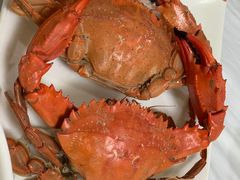 -宾朋海鲜特色美食餐厅·纯手工鲅鱼水饺(兴海路店)