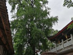 -金堂县云顶石城风景区