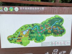 -西双版纳原始森林公园
