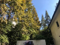 -和平官邸·花园餐厅(武定西路店)
