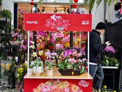 -溪岸路花鸟市场