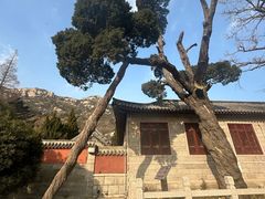 -青岛崂山太清宫