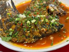 -草墩罗非鱼庄•野生菌•腊排骨(七星街上段店)