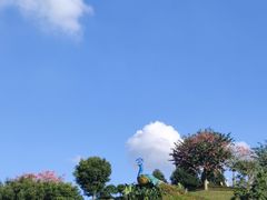 -东莞植物园