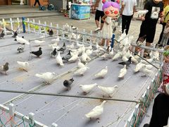 -开元商城(西旺店)
