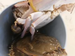 -澜悦港海鲜体验主题餐厅