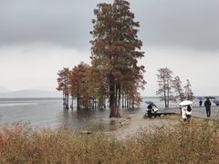 -大理洱海