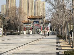 -曹州牡丹园