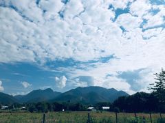 -倒立小屋