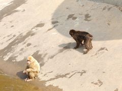 -成都动物园