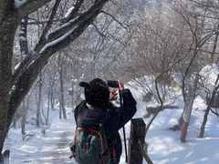 -崂山巨峰游览区