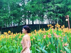 -重庆彩云湖湿地公园
