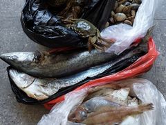 -大连熟食品交易中心