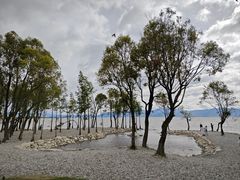 -大理洱海