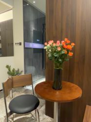 -玛莲朵·海菲秀冰珀科