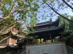 -龙潭水乡
