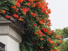 -山塘街