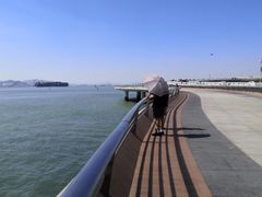 -演武大桥观景平台