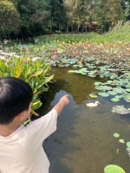 -小鲤鱼寻宝记·AR亲子户外剧本闯关(广州东山湖公园店)
