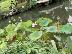 -杭州西湖柳莺里酒店·闻莺厅