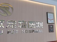 -瑞派雷欧宠物医院·24h夜诊·心脏骨科牙科·全科重症转诊中心(无影山店)