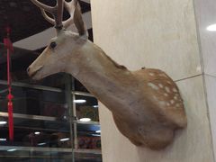 -乔家满族八大碗(流水沟店)