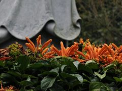 -灵光寺