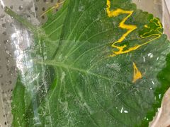 -新石器烤肉(南通CBD大有境店)