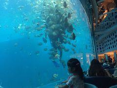 -瑞德姆美人鱼海底演艺主题餐厅(亚龙湾店)