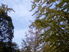 -四川大学(望江校区)