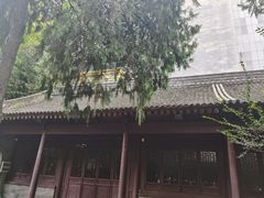 -罔极寺