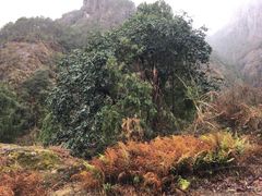 -雁荡山雁湖景区