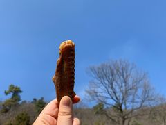 -老山国家森林公园