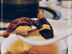 -木王宴语·野生鲜菌火锅(玉河店)