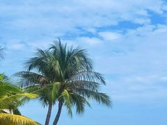-三亚西岛海洋文化旅游区
