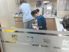 -全心全意连锁动物医院·特色中医诊疗(会城门分院)