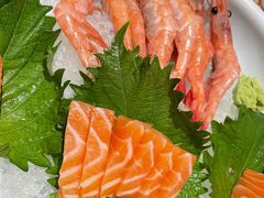 三文鱼刺身大拼盘-黑松白鹿(崇文门新活馆店)