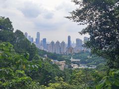 -南山植物园