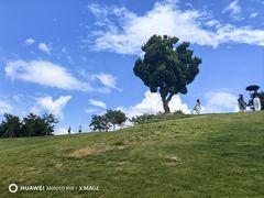 -小麦岛公园