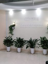 -碧莲盛·不剃发植发