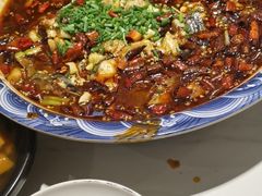 -新概念来凤鱼(璧山店)