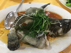 -蚝专家(北滘店)