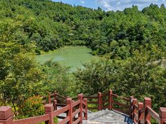 -广州白江湖森林公园