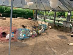 -前小桔亲子创意农场·草莓采摘·露营烧烤