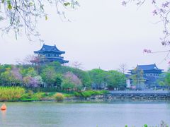 -海珠湖公园