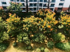 -南京财经大学(仙林校区)