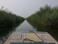 -白洋淀景区